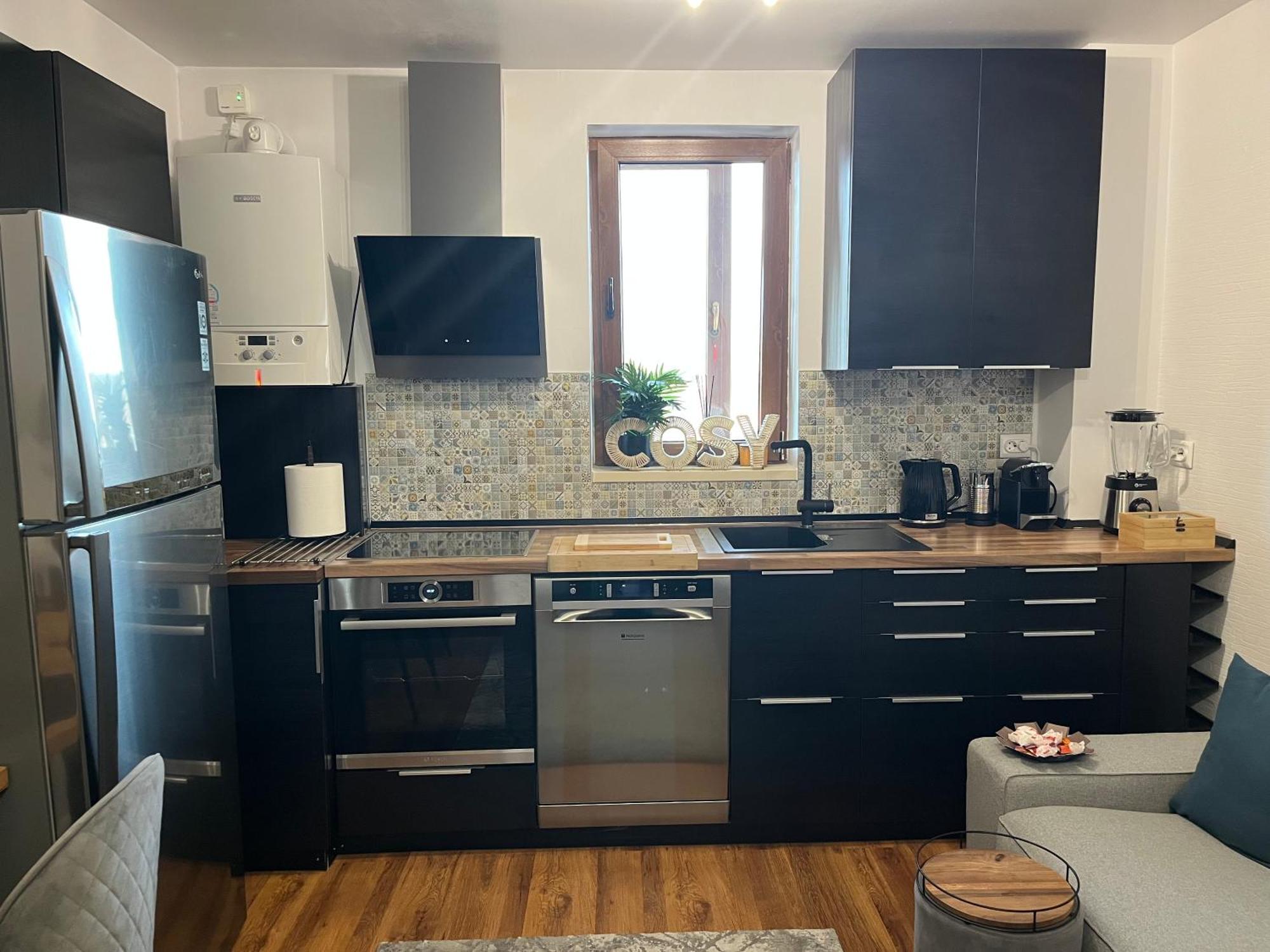 Apartment Ramona's Cosy Timisoara
